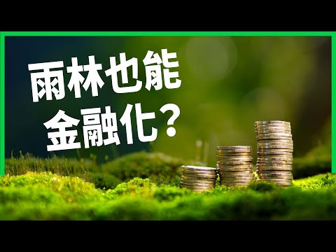 雨林也能金融化？大火加劇 巴西政府讓雨林「上市」？是解方還是危機？【TODAY 看世界】