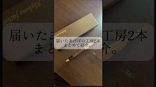 【あけぼの工房】2本まとめて紹介#すごい #文房具 #野原工芸 #さかなだんご #バズれ #shortsvideo #shorts #short #文房具紹介