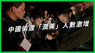 中國偷渡客「潤美」新路線！數千人「走線」穿越巴拿馬雨林，為何冒死也要圓美國夢？【TODAY 看世界】