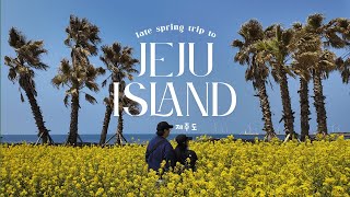 Korea Vlog 🇰🇷 4 Days in Jeju: Eating, Exploring, and Chasing Ocean Views | Late Spring Trip