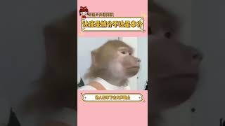 年齡不是為所欲為的擋箭牌 #倚老賣老 #讓座 #孕婦 #老人 #道德綁架