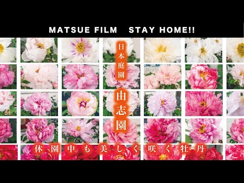 【STAY HOME】島根県松江市から皆様へ〜日本庭園 由志園〜