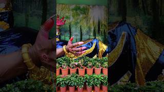 Bal Krishna Ne putna ka vadh kiya #radheradhe #radheshyam #radhekrishna #radheradhe