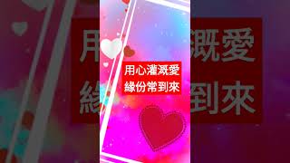 緣份啟發第七個Short               #緣份 #幸福人生 #自愛