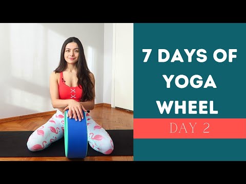 Yoga Wheel Workout For Beginners: DAY 2- 7 Days of Yoga Wheel