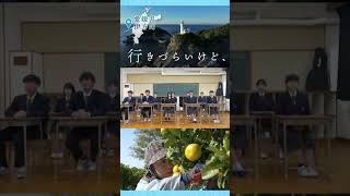 #shorts 【移住編】「行きづらいけど、生きやすい。」 #伊方町 #佐田岬 #愛媛県 #伊方町PR動画 #移住 #生きやすい#PR動画