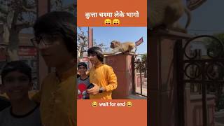 कुत्ता चश्मा लेके भागो 😛 sourav Joshi vlogs