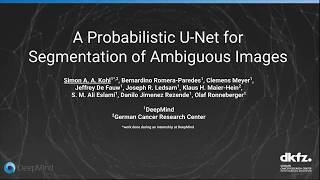 A Probabilistic U-Net for Segmentation of Ambiguous Images