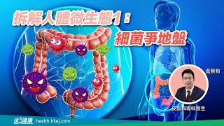 拆解人體微生態1：細菌爭地盤