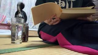 泥酔しながら読む村上春樹のカンガルー日和