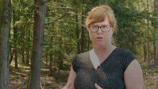 Forests Matter - Step 4: Create your Future Land Use Map & Policy