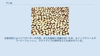 ヤシ油