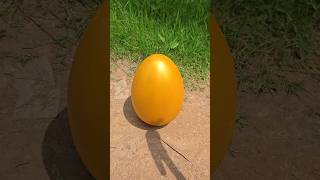 Survival Skills: SIMPLE and USEFULL #bushcraft #camping #outdoor