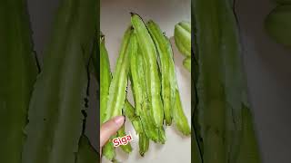 Gulay is life #bukidfeels #greenleafyvegetables #gulay #blessed