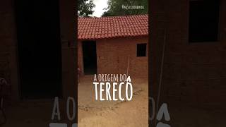 Onde surgiu o Terecô