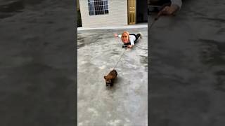 POV: MY DOG IS STRONG #ai #aifilters #aifilter #capcut #trending #shortsviral#fypシ゚viral#pov#funny