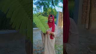 keranigong famous Aria #song #music #soulfulmusic #movie
