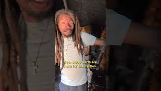 Inside Dorze Village Weaved House In Ethiopia (exciting) 🇪🇹 #shorts