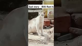 #bili  rani bahut hi prisan thi #😭😄😄😄😄😄😄