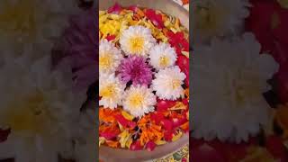 Haldi decoration #music #classicaldance #song #excelandai #dance #exceland