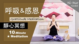 10分鐘 靜心冥想【呼吸&感恩】Meditation ★ #感謝的練習 #正念靜心 #身心淨化 #新年靜心冥想