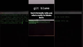 `git blame` but it brutally tells you who's really to blame here. #git #programming #gittips