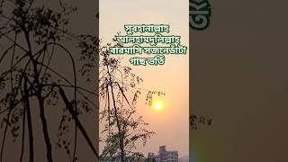 #ছাদবাগান #সজনেডাঁটা #foryou #shorts #viralshorts #trendingshorts
