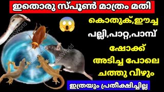 ഹിന്ദിക്കാരി പറഞ്ഞ സൂത്രം ഇതാണ്, എലി, പല്ലി, പാമ്പ് ഒറ്റ നക്കിൽ കൂട്ടത്തോടെ ചത്തു വീഴും|#viralvideo