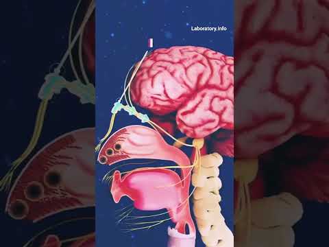 #छींक क्यों आता है #biology #shortvideo #viral #short #Laboratory.info