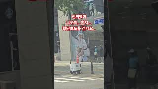 창업, 로봇의민족 되나. 로봇이 신호등 보고 횡단보도를 건넌다..#창업