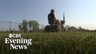 Detroit lawnmower gang still going strong after 15 years