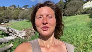 Legalize & Sanction EcoCamping