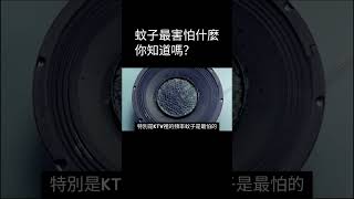 蚊子最害怕什麼你知道嗎？ #蚊子 #滅蚊 #驅蚊 #diy #handmade