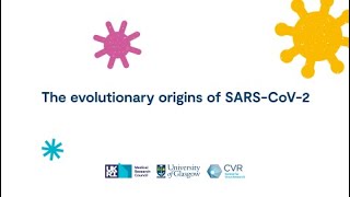 Evolutionary Origins of SARS-CoV-2