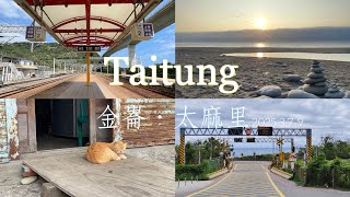 Trip_vlog | 台東金崙之旅_看海.美食.日出.放空耍廢 #雜貨店兒子民宿 #黑手咖啡 #鼎倫牛肉麵 #玉米江臭豆腐 #灌籃高手平交道 #講蜜蜜餐廳 #貓  #金崙  #台東  #日出