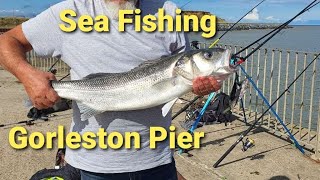 Great Day Fishing the Pier