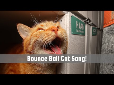 BOUNCE ALONG TO THIS FUN CAT SONG!