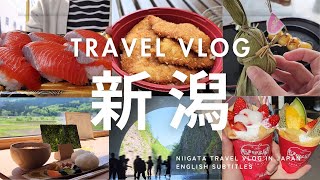 【新潟グルメVlog】旅行モデルコース盛り沢山な24ヶ所/絶品寿司/新潟土産満載な道の駅/アートで幻想的な絶景スポット/究極の塩むすび/魚のアメ横で食べ歩き/新潟代表パワースポット/絶景空中散歩他