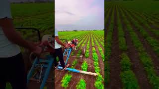 (26 / 50)😍🌱✅•••••••••• #khedut #kisan #kheti #khetibadi #village #viralvideos #viralreels #viralvi..