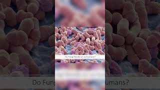 Unmasking Opportunistic Infections  The Hidden Threats to Our Immune System 🦠