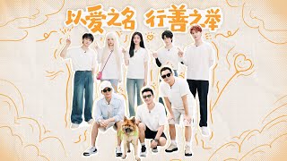 【特别放送🔥】跑男团一日义工行！白鹿给猫铲屎喂饭不是一般的熟练 周深范丞丞用温暖小事诠释大爱 宋雨琦真源沉浸式照顾小猫|奔跑吧13