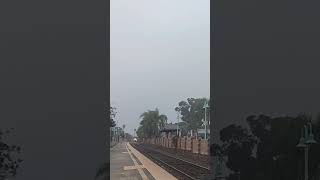 Pacific Surfliner 6951 flies through Carlsbad Village with a shave and a haircut and a doubleheader