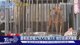 遭鄰居飼養混種比特犬咬傷3次 她怒告過失傷害｜TVBS新聞