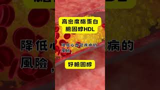 心血管健康指標，算出你的血管硬化指數，為健康把脈#膽固醇#血管硬化#中風