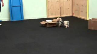 Kanni - Intro to NW (Week 4) WOW!