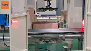 디시스 물류 자동화 스마트 팩토리: 델타로봇 아이스팩 Pick & Place 테스트
