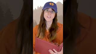 Camp half blood incident reports: B&E #pjo #percyjackson #heroesofolympus #booktok #riordanverse