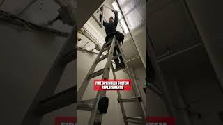 Fire Sprinkler System Check #firesprinklersystem #fireprotection #fireprotectionsystems #maintenance