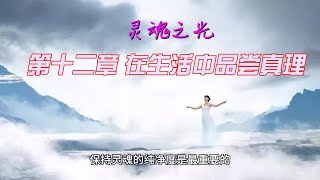灵魂之光第十二章在生活中品尝真理