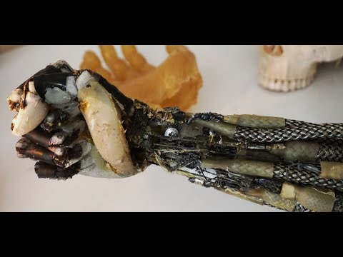 Robotic arm based on anatomy clenches it's fist